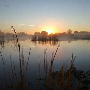 Meet your Posher, Craig